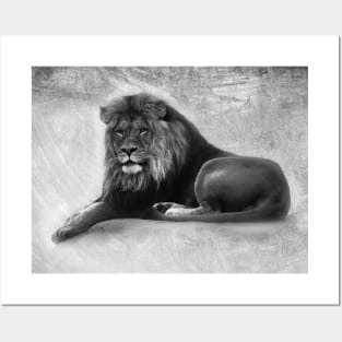 Majestic Lion Posters and Art